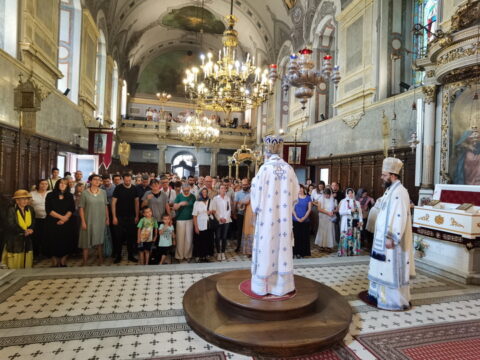 IMG_20240707_112910_resize