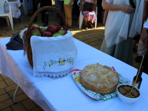 IMG_3635_resize