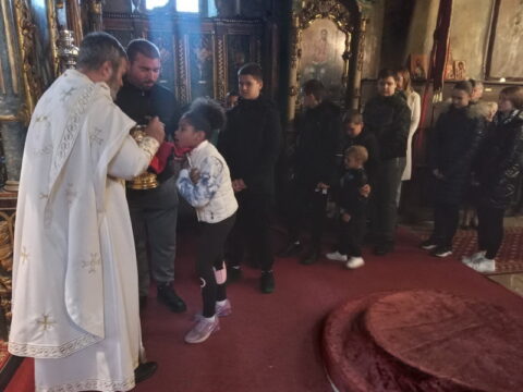 1726400150784_resize