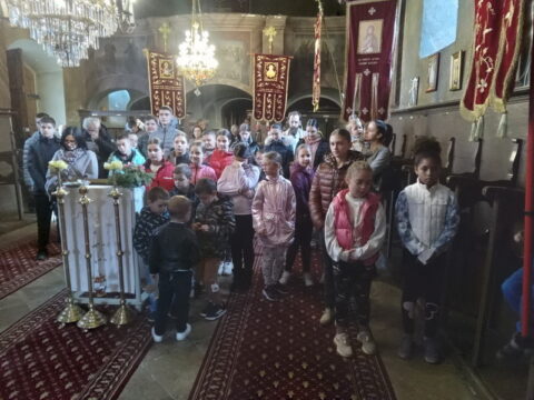 1726400150825_resize