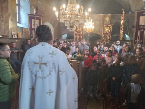 1726400150852_resize