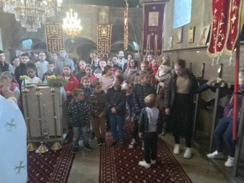 1726400150867_resize