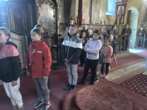 1726400150881_resize