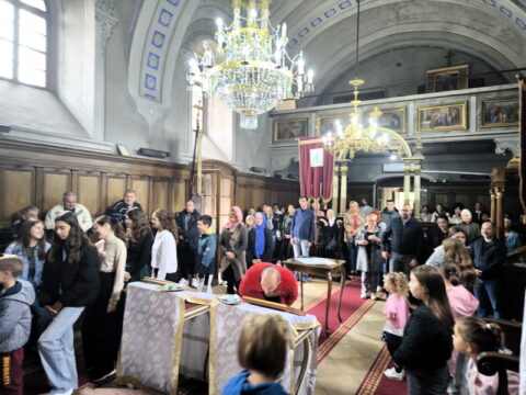 1726414797236_resize