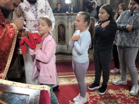 1726414797250_resize