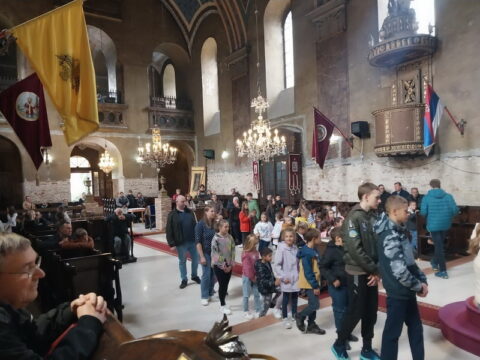 1726424803411_resize