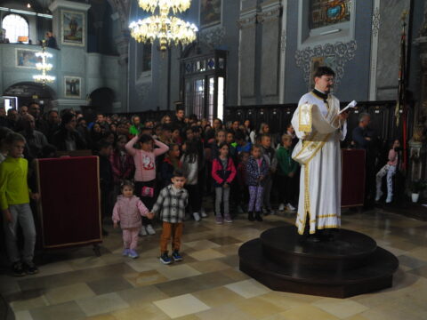 FOTOSIGOR-FACEBOOK+381641182714