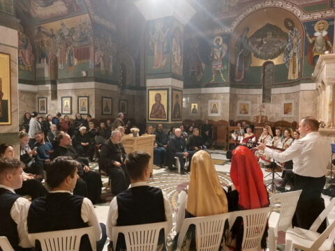 IMG-096c06870cff0041fb40cb23b4576d63-V_resize