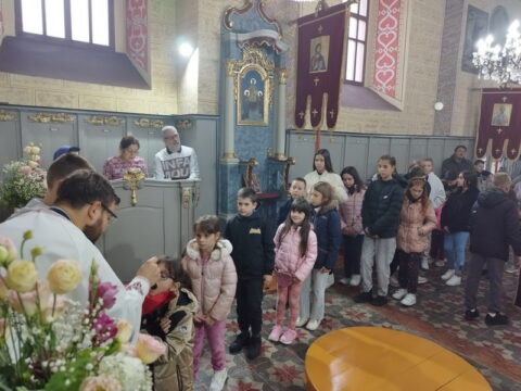 IMG-0ef934da2dbeab631a6c7192a7b20246-V_resize