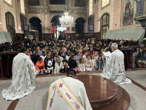 IMG-4715246944f77721067f8a1dd0442ccf-V_resize