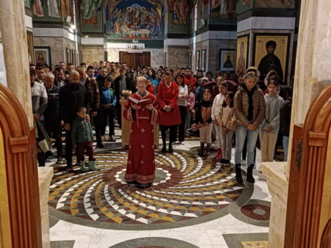 IMG-4bab04741af5a0e2b011bb68adc61f73-V_resize