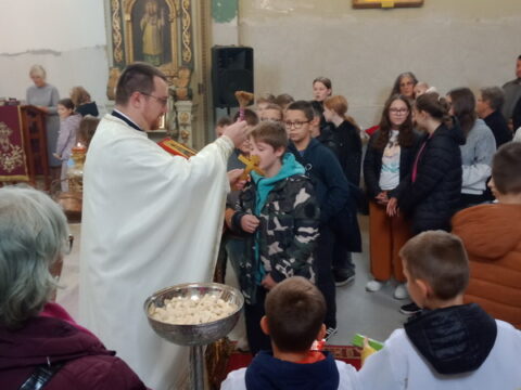 IMG-879310becd45f2d74512cfcccb03b8b1-V_resize