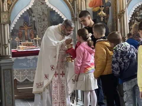 IMG-c2f0edac12d404da9e7da209cb339f0c-V_resize