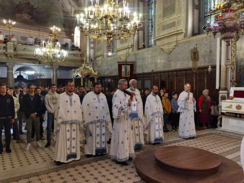 IMG_20240915_091530_resize