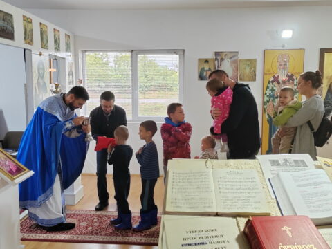 IMG_20240915_101341_resize