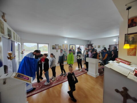 IMG_20240915_101441_resize