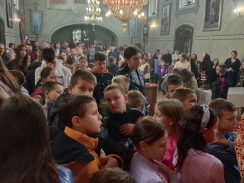 IMG_20240915_102651_resize