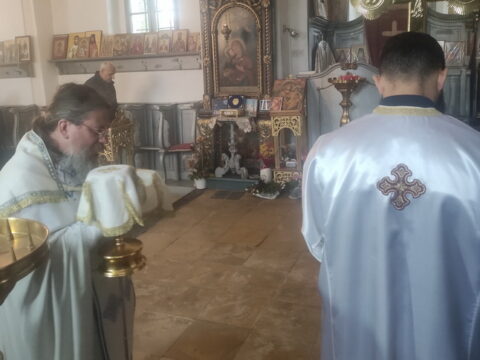 IMG_20240915_103237_resize