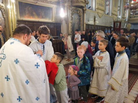 IMG_20240915_103744_resize