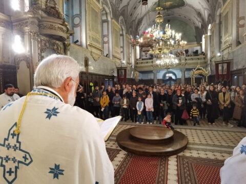 IMG_20240915_105154_resize