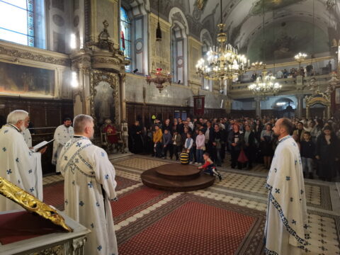 IMG_20240915_105221_resize