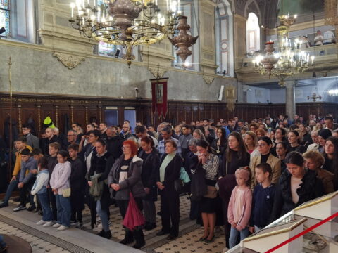 IMG_20240915_105236_resize