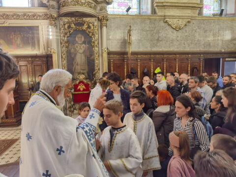 IMG_20240915_105717_resize