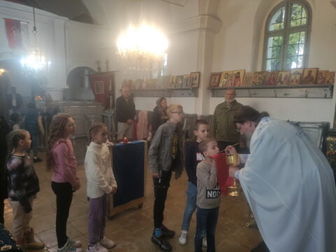 IMG_20240915_111227_resize