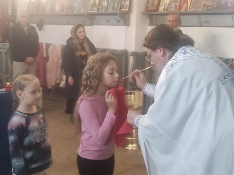 IMG_20240915_111301_resize