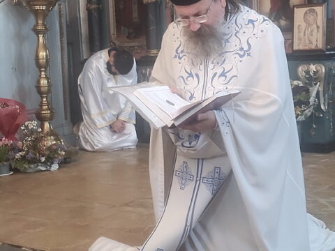 IMG_20240915_112150_resize