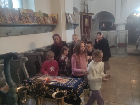 IMG_20240915_115015_resize