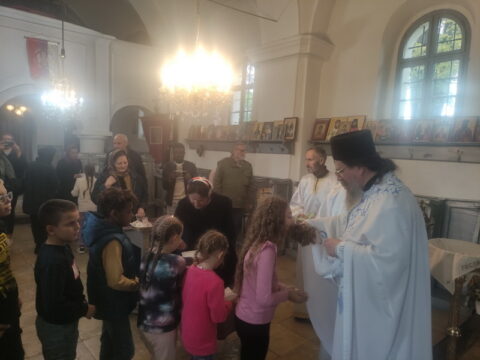 IMG_20240915_115107_resize