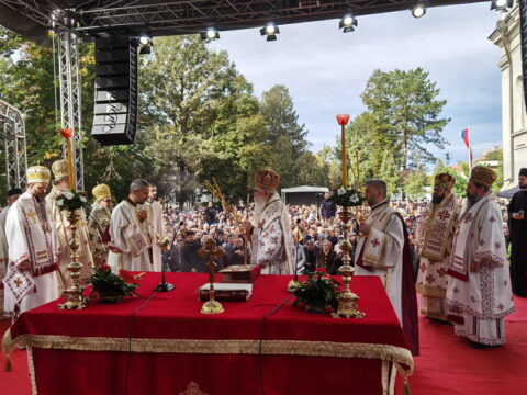 IMG_20241002_091955_resize