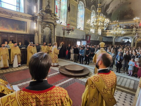 IMG_20241027_090048_resize