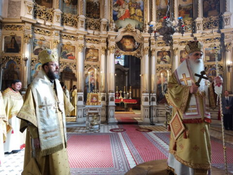 IMG_20241027_112619_resize