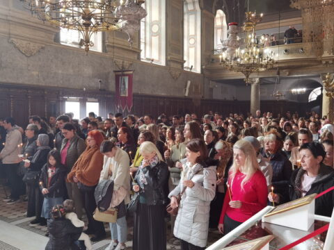 IMG_20241103_105352_resize