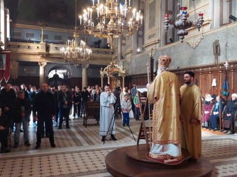 viber_slika_2024-11-08_13-17-37-911_resize