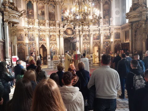 viber_slika_2024-11-08_13-18-22-151_resize