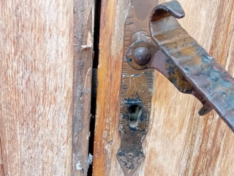 20250101_095507_resize