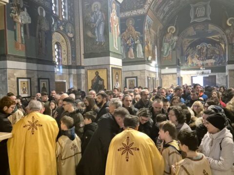 20250119_093553_4424fb78-f7d6-4ebd-ad0d-263fb5d1fc11_resize