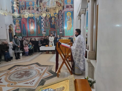 IMG_20250119_093651332_HDR_resize