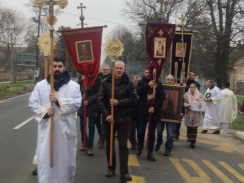 IMG_20250119_111845_resize