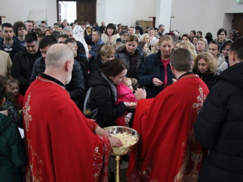 IMG_3977_resize_resize