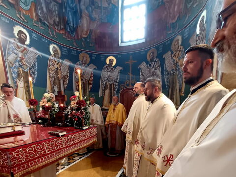 20250226_091734_resize