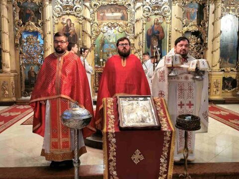 IMG-2273aa6efb2d31b37b752c93fce7b2de-V