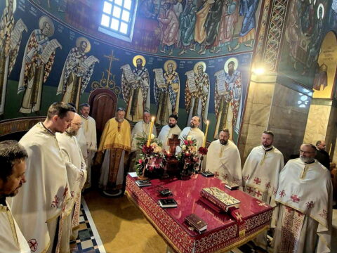 IMG-7fa7067ee704e64de85e9ebc81231a09-V_resize