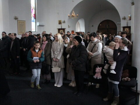 IMG_4141_resize_resize