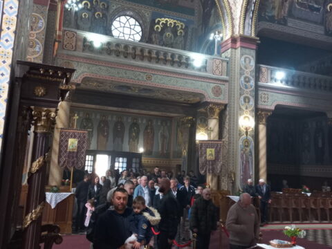 1000030390_resize