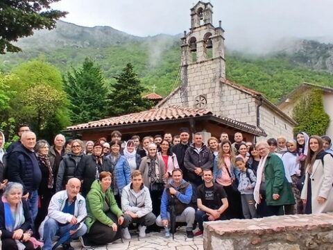 1000036005_resize