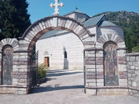 1000036194_resize